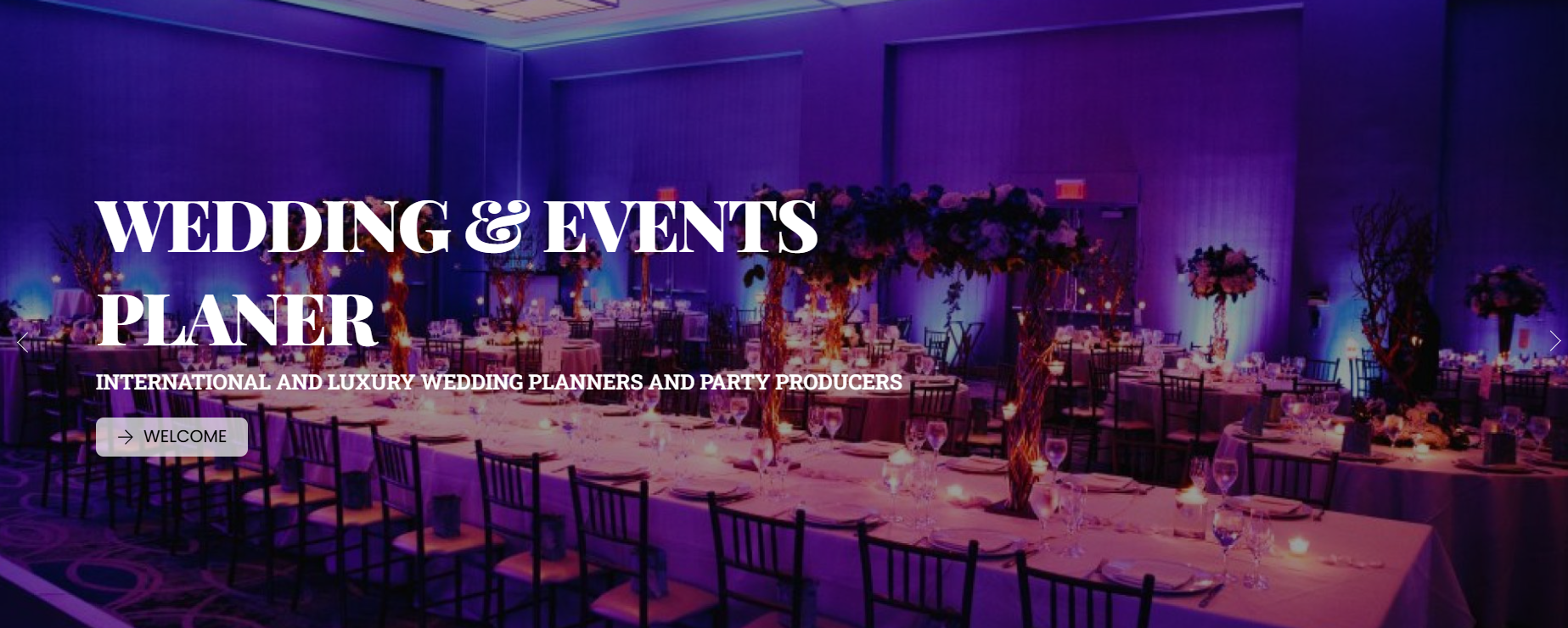 event managment website model